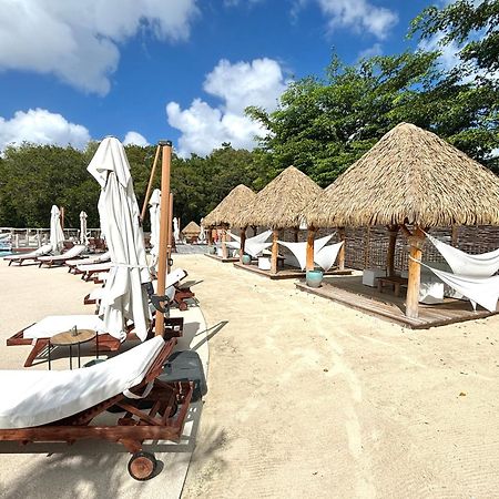 La Ruche De Maia - Blue Dream Beach - Piscine - Jardin - Plage Grand-Bourg  Esterno foto