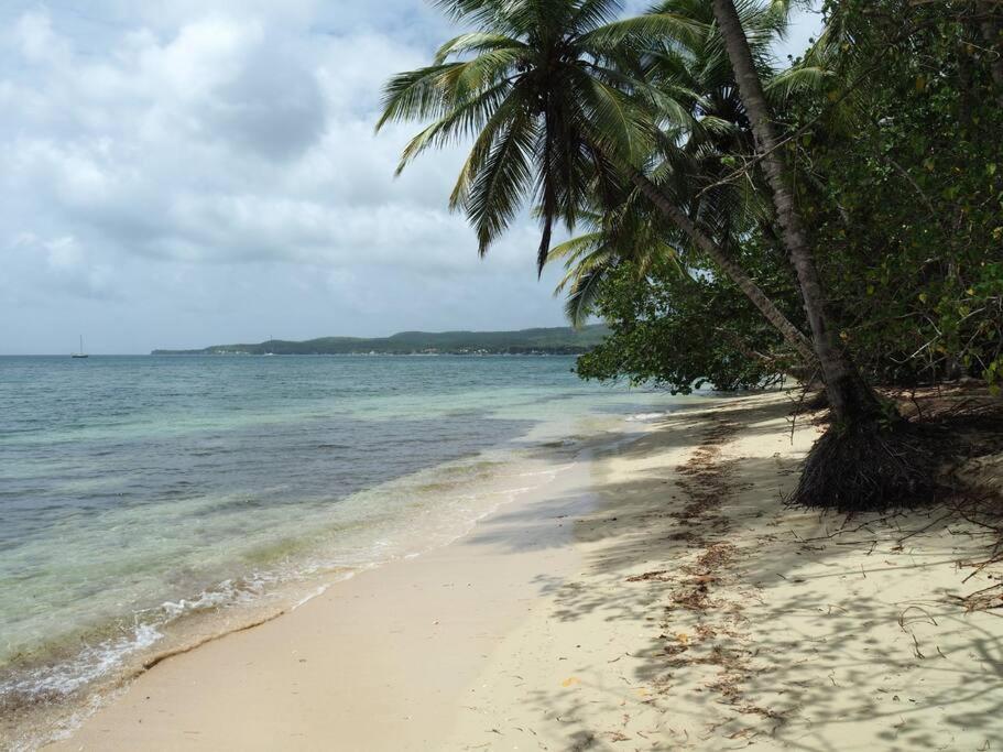 La Ruche De Maia - Blue Dream Beach - Piscine - Jardin - Plage Grand-Bourg  Esterno foto