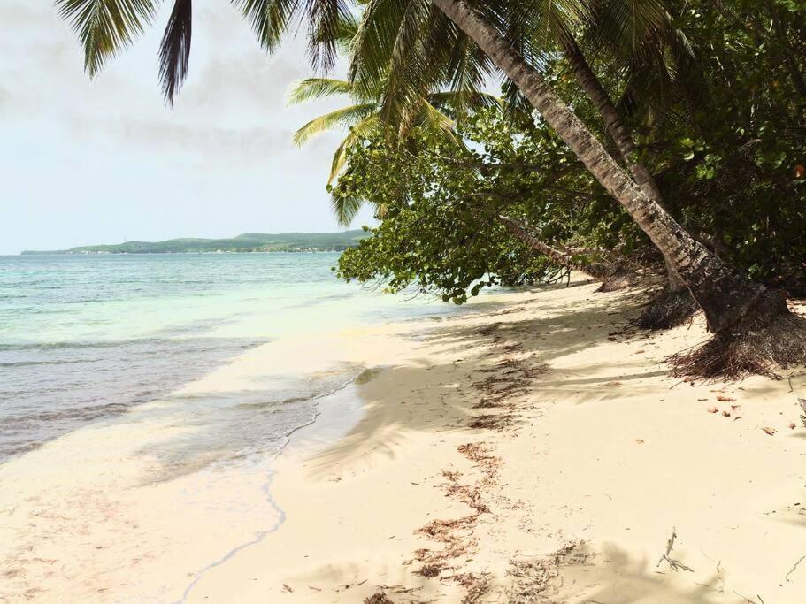 La Ruche De Maia - Blue Dream Beach - Piscine - Jardin - Plage Grand-Bourg  Esterno foto