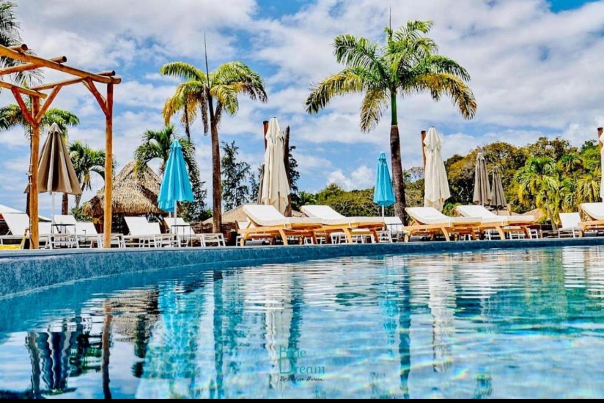 La Ruche De Maia - Blue Dream Beach - Piscine - Jardin - Plage Grand-Bourg  Esterno foto