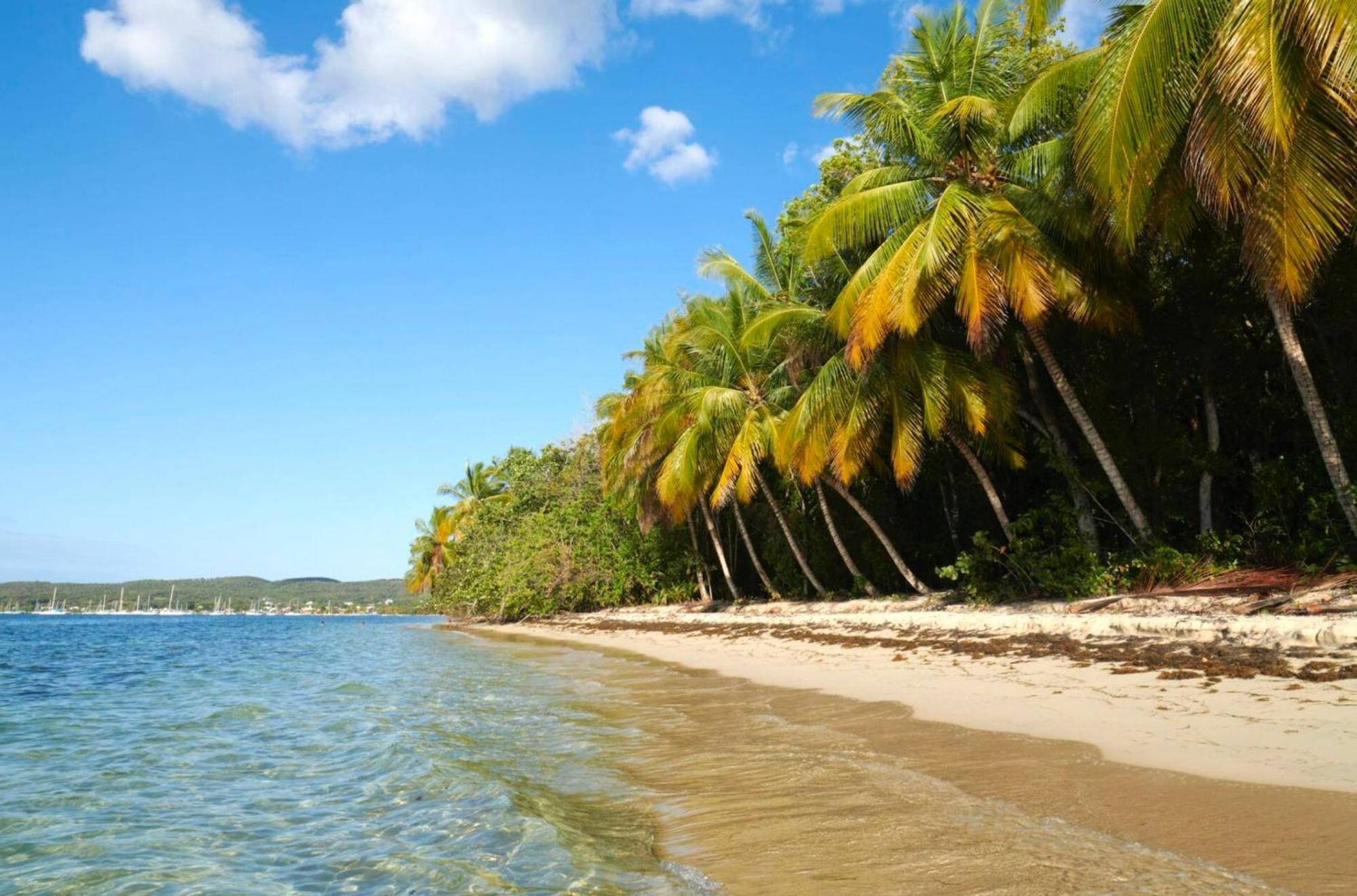 La Ruche De Maia - Blue Dream Beach - Piscine - Jardin - Plage Grand-Bourg  Esterno foto
