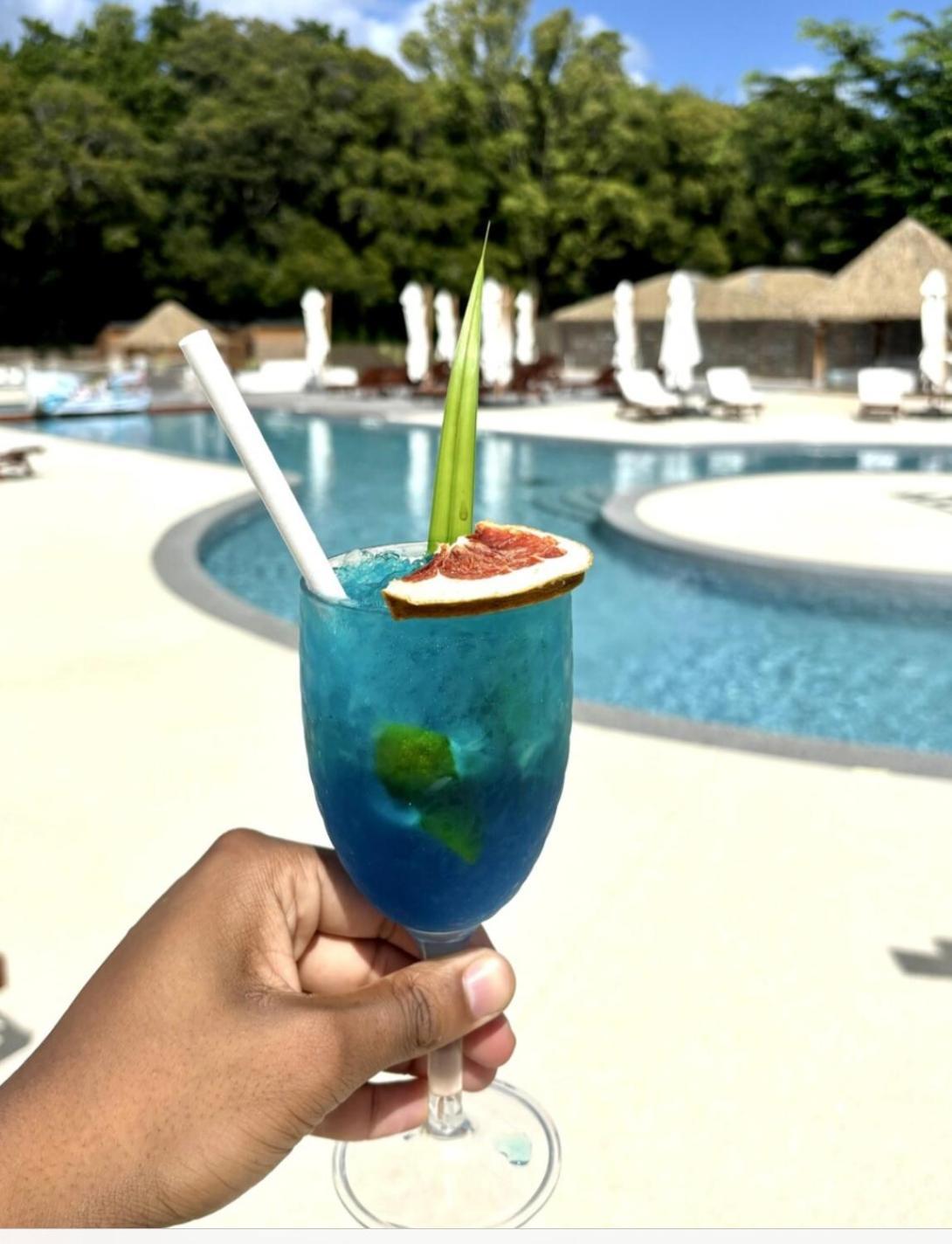 La Ruche De Maia - Blue Dream Beach - Piscine - Jardin - Plage Grand-Bourg  Esterno foto