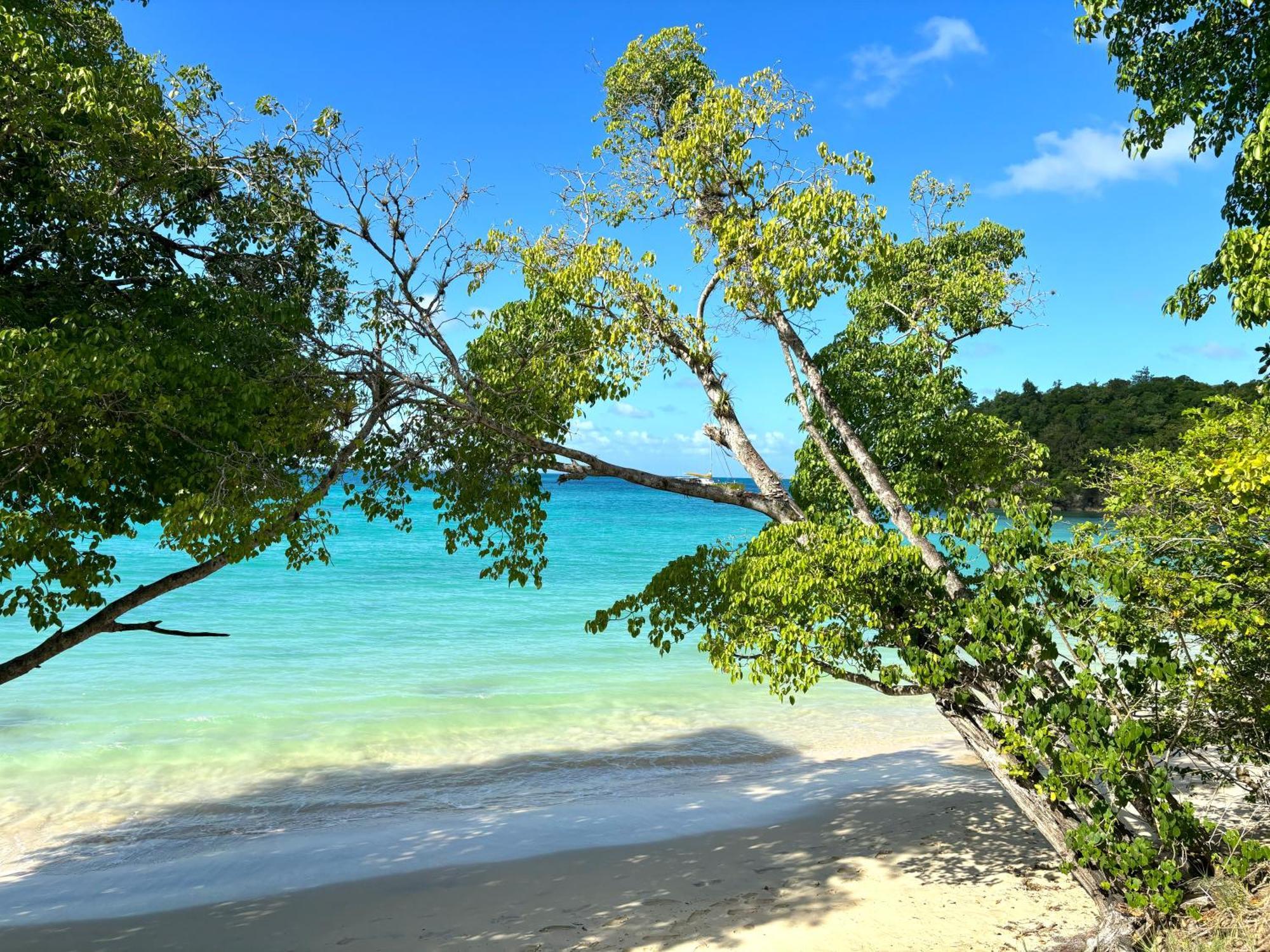 La Ruche De Maia - Blue Dream Beach - Piscine - Jardin - Plage Grand-Bourg  Esterno foto