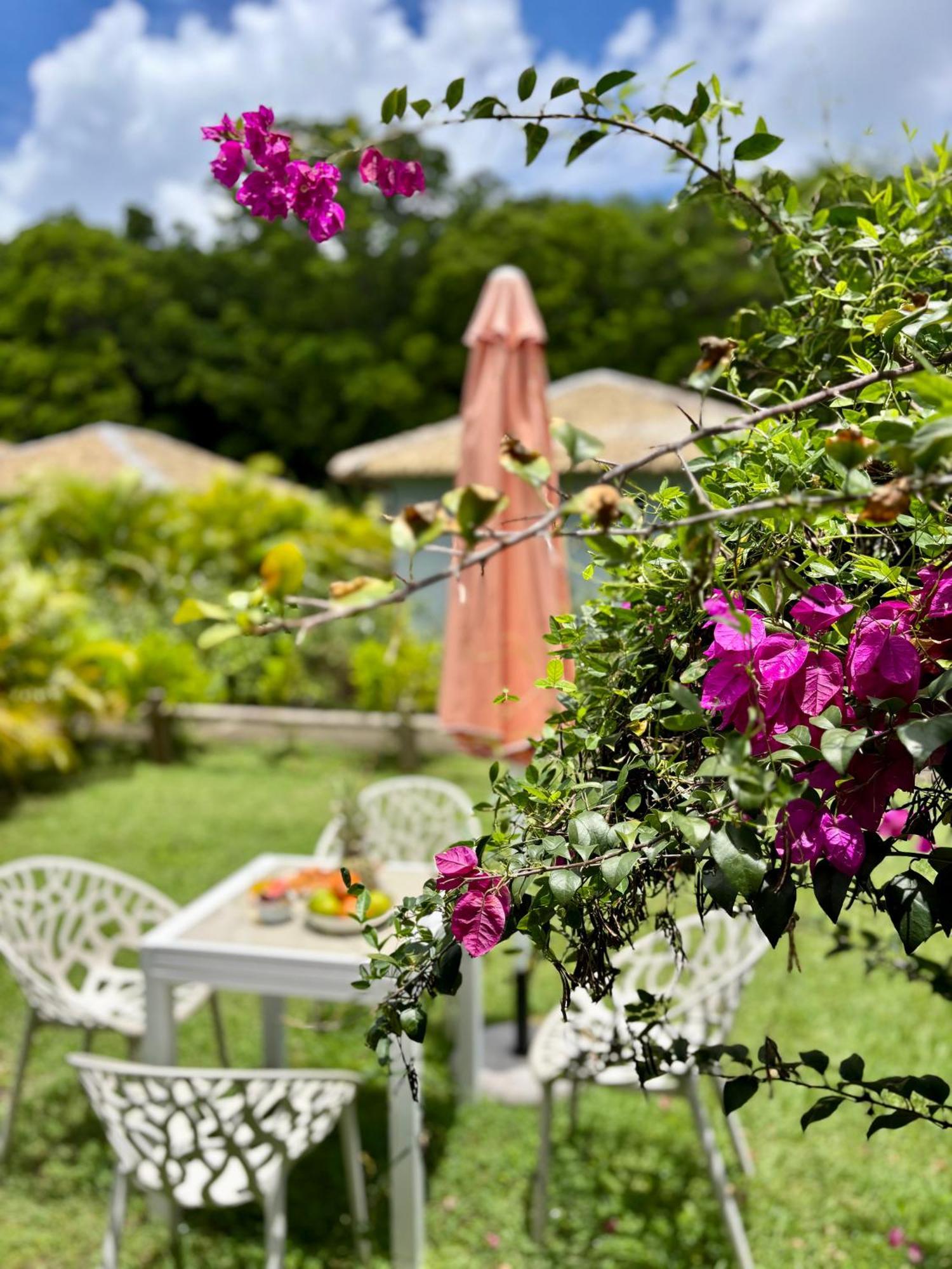La Ruche De Maia - Blue Dream Beach - Piscine - Jardin - Plage Grand-Bourg  Esterno foto